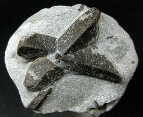 Estaurolita<br />Semiostrov'e, Montes Keivy, Península Kola, Murmanskaja Oblast, Región Norte, Rusia<br />8 x 6 x 3,5 cm<br /> (Autor: Antonio Alcaide)