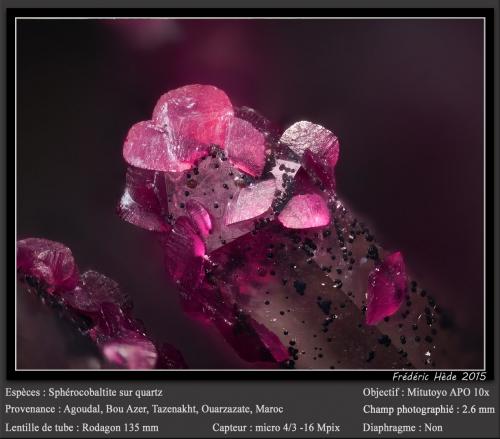 Spherocobaltite<br />Agoudal Mines, Tansifite, Agdz, Bou Azzer mining district, Zagora Province, Drâa-Tafilalet Region, Morocco<br />fov 2.6 mm<br /> (Author: ploum)