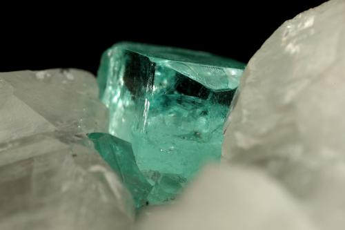 Beryl (Var. Emerald), Calcite, Pyrite<br />Muzo (distrito minero), Mina La Pava, Quípama, Municipio Muzo, Cinturón Esmeraldífero Occidental, Departamento Boyacá, Colombia<br />85x62x64mm, xl=8x9mm<br /> (Author: Fiebre Verde)