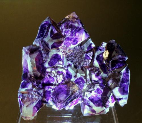 Fluorite<br />Okorusu Mine, Otjiwarongo District, Otjozondjupa Region, Namibia<br />8.3 x 7.2 x 2.5 cm<br /> (Author: Don Lum)