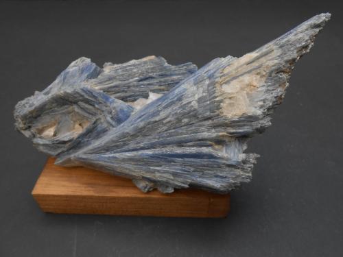Cianita<br />Barra de Salinas, Coronel Murta, Vale do Jequitinhonha, Minas Gerais, Brazil<br />12,5 x 6,5 x 5 cm<br /> (Autor: Antonio Alcaide)