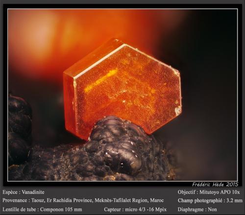 Vanadinite<br />Taouz, Er Rachidia Province, Drâa-Tafilalet Region, Morocco<br />fov 3.2 mm<br /> (Author: ploum)