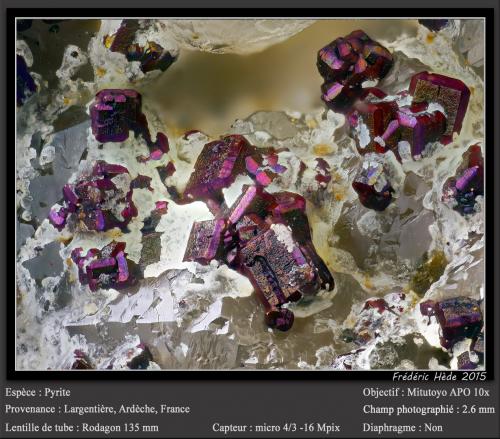 Pyrite<br />Largentière Mines, Largentière, Vallon-Pont-d'Arc, Ardèche, Auvergne-Rhône-Alpes, France<br />fov 2.6 mm<br /> (Author: ploum)