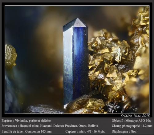 Vivianite, Siderite and Pyrite<br />Huanuni Mine, Huanuni, Dalence Province, Oruro Department, Bolivia<br />fov 3.2 mm<br /> (Author: ploum)