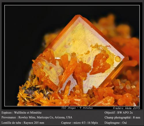 Wulfenite<br />Rowley Mine, Theba, Painted Rock District, Painted Rock Mountains, Maricopa County, Arizona, USA<br />fov 8 mm<br /> (Author: ploum)