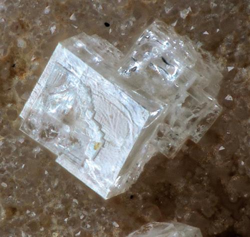 Hydroniumpharmacoalumite<br />María Josefa Mine, Rodalquilar, Níjar, Comarca Metropolitana de Almería, Almería, Andalusia, Spain<br />0.4 mm<br /> (Author: Rewitzer Christian)