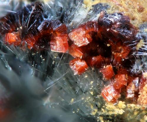 Flurlite<br />Hagendorf, Waidhaus, Oberpfälzer Wald, Alto Palatinado/Oberpfalz, Baviera/Bayern, Alemania<br />fov 1.4 mm<br /> (Author: Rewitzer Christian)