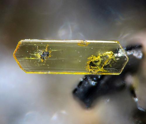 Fluoro-edenite<br />Minas Nuestra Señora del Carmen, La Celia, Jumilla, Comarca Altiplano, Región de Murcia (Murcia), España<br />fov 0,4 mm<br /> (Author: Rewitzer Christian)