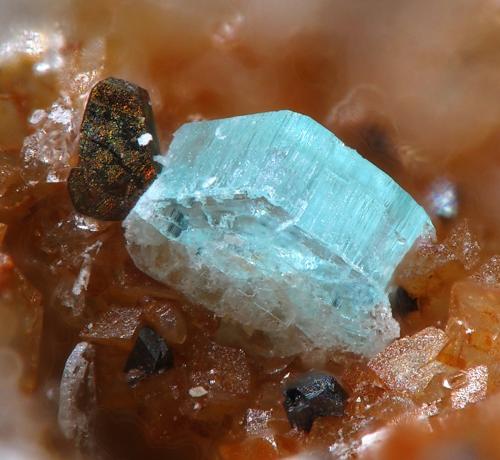 Bottinoite<br />Mina Nueva Virginia, Barranco Royo, Lanzuela, Comarca Jiloca, Teruel, Aragón, España<br />fov 0,9 mm<br /> (Author: Rewitzer Christian)