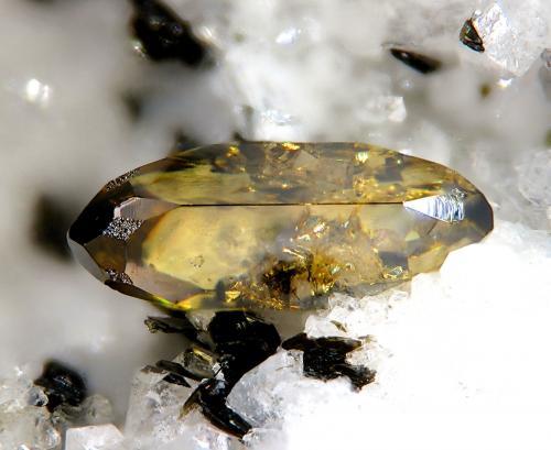 Anatase<br />Wannigletscher, Scherbadung (Monte Cervandone), Kriegalp Valley, Binn Valley (Binntal), Wallis (Valais), Switzerland<br />fov 2,1 mm<br /> (Author: Rewitzer Christian)