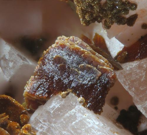 Talmessite<br />Bou Azzer mining district, Drâa-Tafilalet Region, Morocco<br />fov 2.1 mm<br /> (Author: Rewitzer Christian)