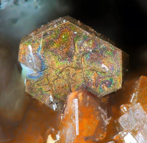 Polydymite<br />Nueva Virginia Mine, Royo ravine, Lanzuela, Comarca Jiloca, Teruel, Aragon, Spain<br />fov 0.75 mm<br /> (Author: Rewitzer Christian)