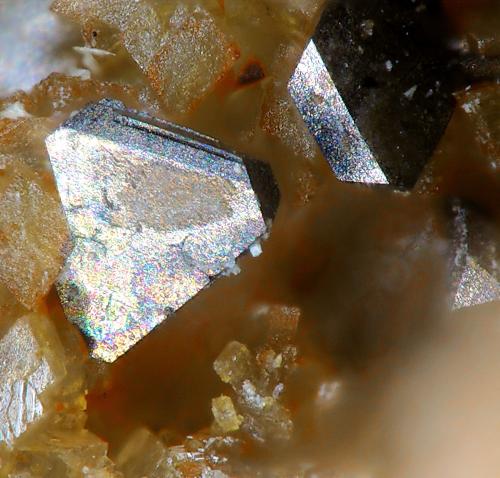 Polydymite<br />Mina Nueva Virginia, Barranco Royo, Lanzuela, Comarca Jiloca, Teruel, Aragón, España<br />fov 1.4 mm<br /> (Author: Rewitzer Christian)