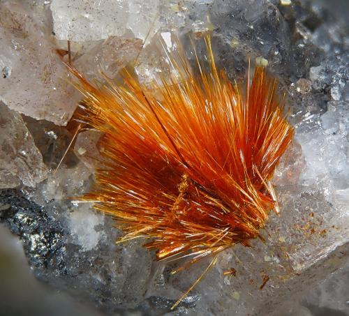 Ludlockite<br />Tsumeb Mine, Tsumeb, Otjikoto Region, Namibia<br />fov 2.1 mm<br /> (Author: Rewitzer Christian)