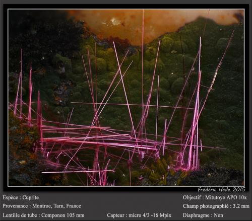 Cuprite (variety chalcotrichite)<br />Mont-Roc Mine, Mont-Roc, Castres, Tarn, Occitanie, France<br />fov 3.2 mm<br /> (Author: ploum)