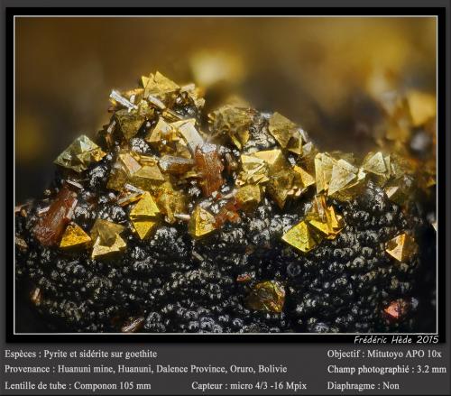Pyrite, Siderite and Goethite<br /><br />fov 3.2 mm<br /> (Author: ploum)