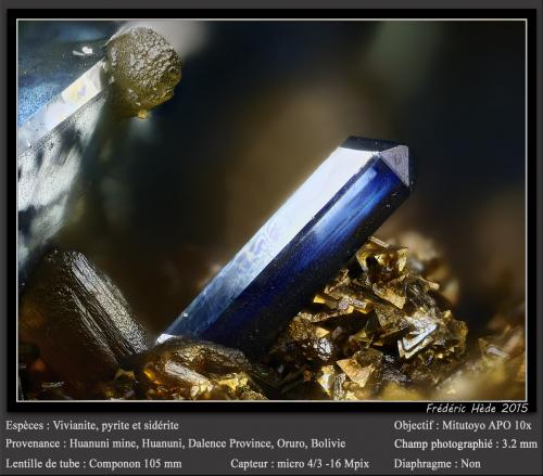 Vivianite with Siderite and Pyrite<br /><br />fov 3.2 mm<br /> (Author: ploum)