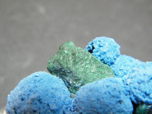 Shattuckite, Malachite, Dioptase<br />Kaokoveld Plateau, Kunene Region, Namibia<br />80x50x35mm<br /> (Author: Heimo Hellwig)