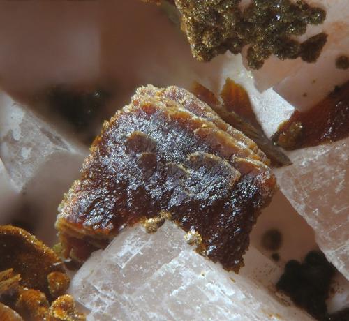 Talmessita<br />Bou Azzer mining district, Drâa-Tafilalet Region, Morocco<br /><br /> (Autor: Rewitzer Christian)