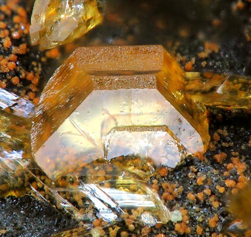 Pseudolaueita<br />Hagendorf, Waidhaus, Oberpfälzer Wald, Upper Palatinate/Oberpfalz, Bavaria/Bayern, Germany<br />fov 1.2 mm<br /> (Autor: Rewitzer Christian)