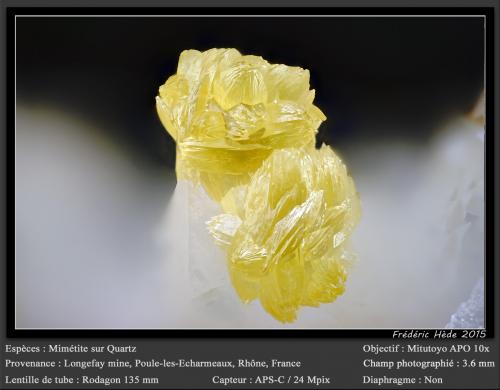 Mimetite on Quartz<br />Longefay Mine, Poule-les-Echarmeaux, Villefranche-sur-Saône, Rhône, Auvergne-Rhône-Alpes, France<br />fov 3.6 mm<br /> (Author: ploum)