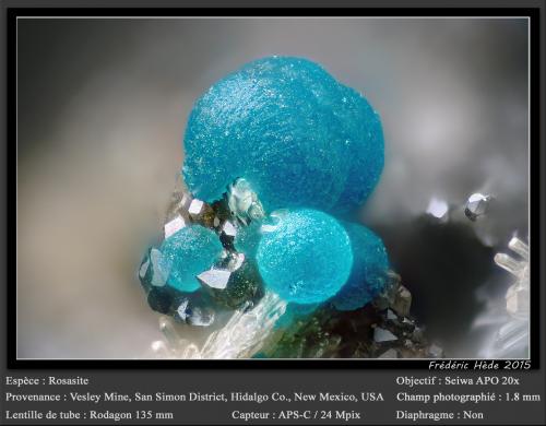 Rosasite and Hemimorphite<br />Mina Vesley, Granite Gap, Distrito San Simon, Condado Hidalgo, New Mexico, USA<br />fov 1.8 mm<br /> (Author: ploum)