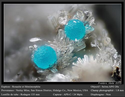 Rosasite and Hemimorphite<br />Mina Vesley, Granite Gap, Distrito San Simon, Condado Hidalgo, New Mexico, USA<br />fov 1.8 mm<br /> (Author: ploum)