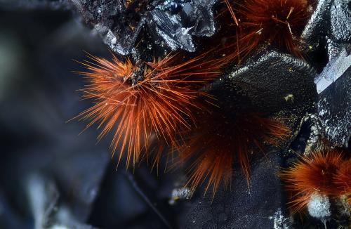 Goethita<br />Mina La Diosa, Almendricos, Lorca, Comarca Alto Guadalentín, Región de Murcia (Murcia), España<br />Campo de visión 2,3 mm<br /> (Autor: Juan Miguel)