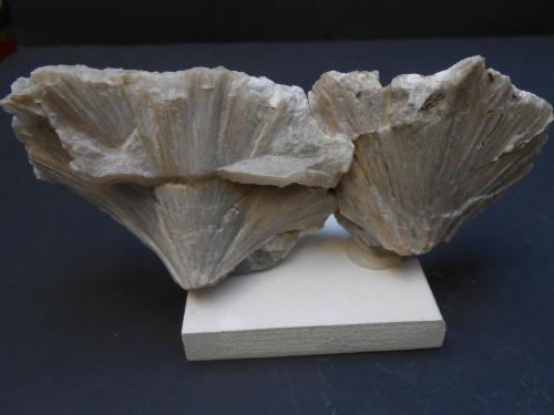 Ulexita<br />Boron, Distrito Kramer, Condado Kern, California, USA<br />15 x 6 x 3 cm<br /> (Autor: Antonio Alcaide)