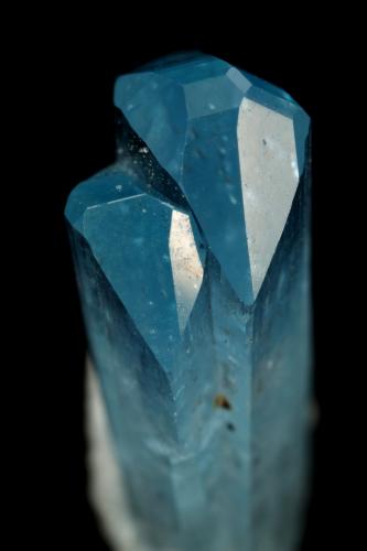 Euclase, Albite (variety cleavelandite)<br />La Marina Mine, Municipio Pauna, Western Emerald Belt, Boyacá Department, Colombia<br />10x21x7mm<br /> (Author: Fiebre Verde)