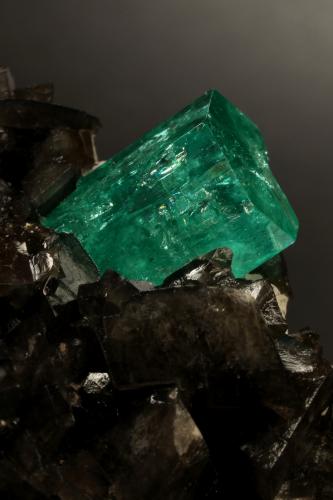 Beryl (variety emerald), Calcite, Pyrite<br />Coscuez (distrito minero), Municipio San Pablo de Borbur, Cinturón Esmeraldífero Occidental, Departamento Boyacá, Colombia<br />78x53x78mm, xls= 11x9mm & 15x12mm<br /> (Author: Fiebre Verde)