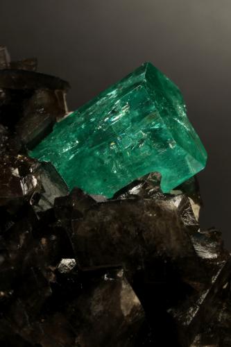 Beryl (variety emerald), Calcite, Pyrite<br />Coscuez mining district, Municipio San Pablo de Borbur, Western Emerald Belt, Boyacá Department, Colombia<br />78x53x78mm, xls= 11x9mm & 15x12mm<br /> (Author: Fiebre Verde)