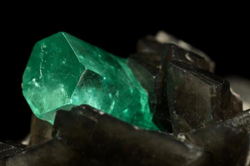 Beryl (variety emerald), Calcite, Pyrite<br />La Pita mining district, Cunas Mine, Municipio Maripí, Western Emerald Belt, Boyacá Department, Colombia<br />50x50x45mm, xl=11x7mm<br /> (Author: Fiebre Verde)