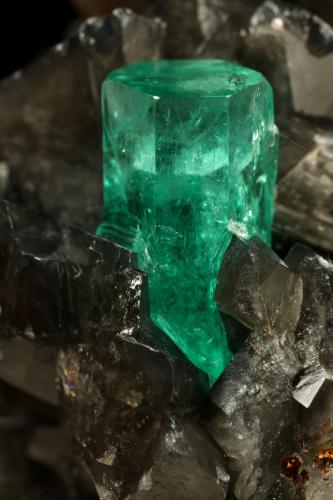 Beryl (variety emerald), Calcite, Pyrite<br />La Pita mining district, Cunas Mine, Municipio Maripí, Western Emerald Belt, Boyacá Department, Colombia<br />50x50x45mm, xl=11x7mm<br /> (Author: Fiebre Verde)