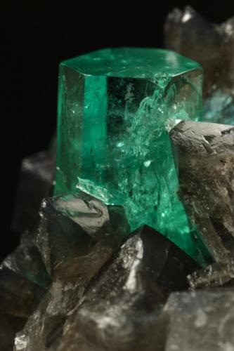 Beryl (variety emerald), Calcite, Pyrite<br />La Pita (distrito minero), Mina Cunas, Municipio Maripí, Cinturón Esmeraldífero Occidental, Departamento Boyacá, Colombia<br />50x50x45mm, xl=11x7mm<br /> (Author: Fiebre Verde)