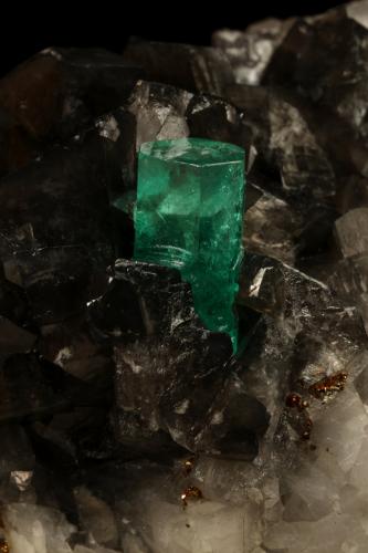 Beryl (variety emerald), Calcite, Pyrite<br />La Pita (distrito minero), Mina Cunas, Municipio Maripí, Cinturón Esmeraldífero Occidental, Departamento Boyacá, Colombia<br />50x50x45mm, xl=11x7mm<br /> (Author: Fiebre Verde)