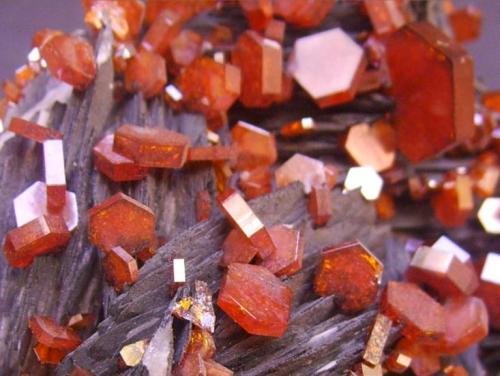 Vanadinita<br />ACF Mine, Mibladen mining district, Mibladen, Midelt, Midelt Province, Drâa-Tafilalet Region, Morocco<br />8 x 5 x 5 cm<br /> (Autor: Antonio Alcaide)