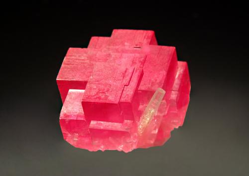 Rhodochrosite<br />Mina Sweet Home, Monte Bross, Distrito Alma, Condado Park, Colorado, USA<br />1.6 x 2.1 cm<br /> (Author: crosstimber)