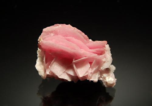 Rhodochrosite<br />Grupo Mina Sunnyside (Mina American Tunnel), Pico Bonita, Gladstone, Distrito Eureka, Condado San Juan, Colorado, USA<br />1.4 x 1.9 cm<br /> (Author: crosstimber)