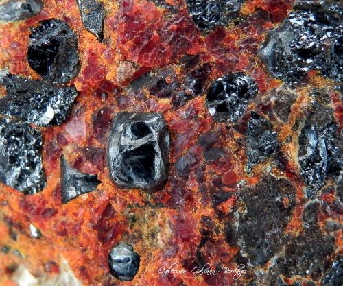 Zincita<br />Sterling Hill, Ogdensburg, Franklin Mining District, Sussex County, New Jersey, USA<br />Encuadre de la fotografía 15 mm.<br /> (Autor: Rafael Galiana)