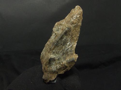 Estaurolita<br />Montejo de la Sierra, Comarca Sierra Norte, Comunidad de Madrid, España<br />95x45mm<br /> (Autor: joaquin gar)