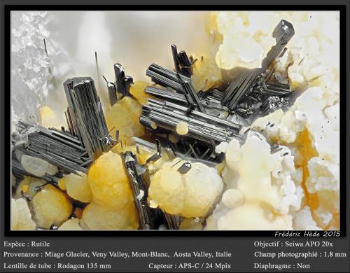 Rutile<br />Miage Glacier, Veny Valley, Monte Bianco Massif (Mont Blanc Massif), Courmayeur, Aosta Valley (Val d'Aosta), Italy<br />fov 1.8 mm<br /> (Author: ploum)