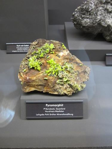 Pyromorphite<br />Ramsbeck, Bestwig, Distrito Hochsauerland, Arnsberg, North Rhine-Westphalia/Nordrhein-Westfalen, Germany<br />Specimen size ~ 12 cm<br /> (Author: Tobi)