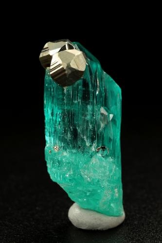 Beryl (variety emerald), Pyrite<br />Chivor mining district, Palo Arañado Mine, Municipio Chivor, Eastern Emerald Belt, Boyacá Department, Colombia<br />xl=27x20mm<br /> (Author: Fiebre Verde)