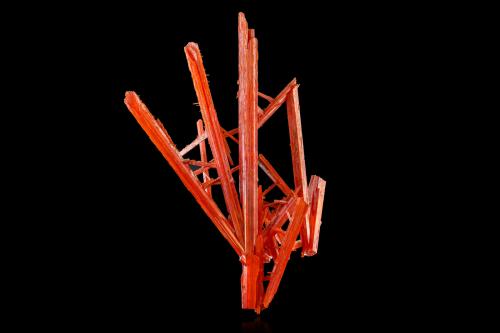 Crocoite<br />Adelaide Mine, Dundas mineral field, Zeehan District, West Coast Council, Tasmania, Australia<br />14,0	x	9,5	x	6,0	cm<br /> (Author: MIM Museum)