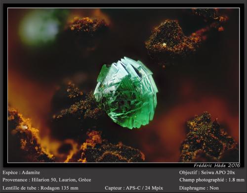 Adamite<br />Mina Hilarion, Zona Hilarion, Minas Kamariza, Agios Konstantinos, Distrito minero Lavrion, Prefectura Attikí (Attica), Grecia<br />fov 1.8 mm<br /> (Author: ploum)