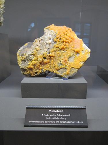 Mimetite<br />Zona minera Badenweiler, Badenweiler, Selva Negra, Baden-Württemberg, Alemania<br />Specimen size ~ 16 cm<br /> (Author: Tobi)