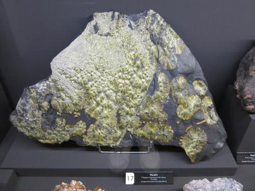 Wavellite<br />Lichtenberg open cast, Ronneburg U deposit, Gera, Greiz District, Thuringia/Thüringen, Germany<br />Specimen size ~ 50-60 cm<br /> (Author: Tobi)