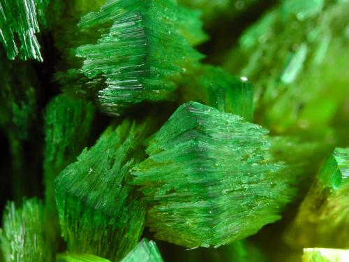 Saléeita y Torbernita<br />Senhora da Assunção Mine, Aldeia Nova, Ferreira de Aves, Sátão, Viseu District, Portugal<br />FOV 1.2 cm<br /> (Autor: Cesar M. Salvan)