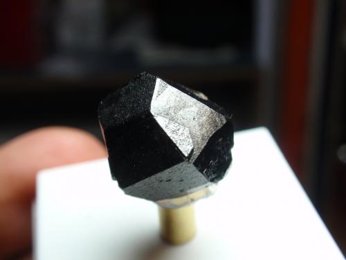 Casiterita<br />Minas da Panasqueira, Aldeia de São Francisco de Assis, Covilhã, Castelo Branco, Cova da Beira, Centro, Portugal<br />15x20 mm<br /> (Autor: Ignacio)